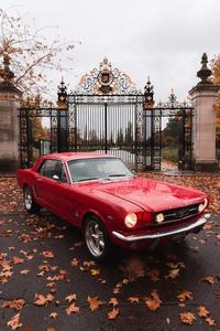 First Gen Red Ford Mustang Car Picture