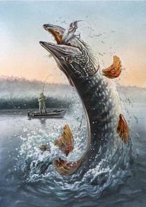 Fishing pictures fishing wallpaper