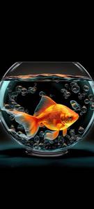 Fishing pictures fishing wallpaper