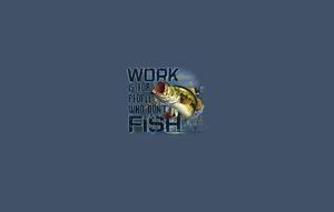 Fishing pictures fishing wallpaper