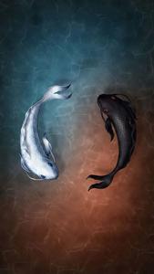 Fishing pictures fishing wallpaper