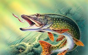 Fishing pictures fishing wallpaper
