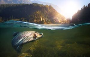 Fishing pictures fishing wallpaper