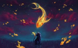 Fishing pictures fishing wallpaper