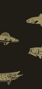 Fishing pictures fishing wallpaper