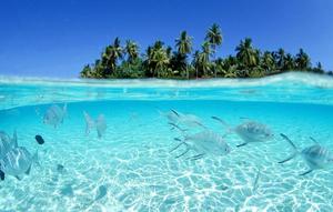 Fishing pictures fishing wallpaper