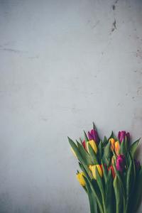 Flower Background flower wallpaper