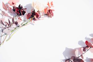Flower Background Wallpaper