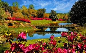 Flower Garden And River Landscape Picture landscape wallpaper