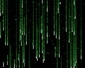 Follow the white rabbit and uncover the secrets of the Matrix matrix wallpaper