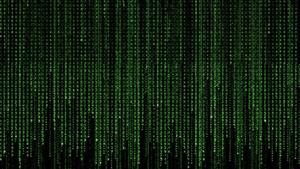 Free your mind in the matrix of neon green matrix wallpaper