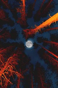 Full Moon Beautiful Phone beautiful phone wallpaper