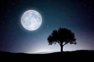 Full Moon Desktop Screen Hd full screen hd desktop wallpaper
