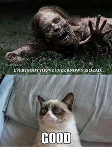 Funny Meme pictures funny meme wallpaper