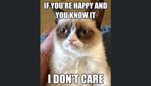 Funny Meme pictures funny meme wallpaper