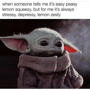 Funny Meme pictures funny meme wallpaper