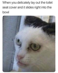 Funny Meme pictures funny meme wallpaper