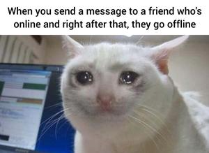 Funny Meme pictures funny meme wallpaper
