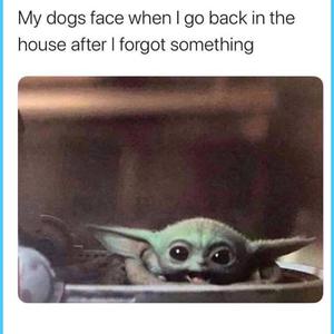 Funny Meme pictures funny meme wallpaper
