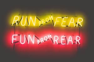 Funny Meme Run From Fear funny meme wallpaper