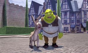 Funny Shrek And Donkey Welcome To Duloc funny shrek wallpaper