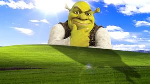 Funny Shrek On Microsoft Windows Bliss funny shrek wallpaper