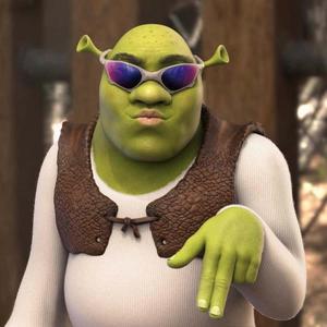 Funny Shrek Pout In Sunglasses funny shrek wallpaper