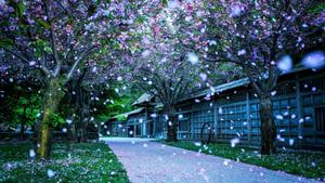 Garden of Eden beautiful wallpaper