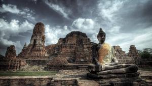 Gazing Upon the Enlightened Buddha in Ayutthaya buddha wallpaper
