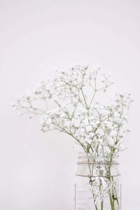 Get Inspired By White Aesthetic white aesthetic wallpaper