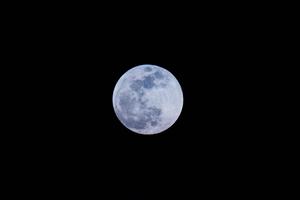 Get lost in the beauty of this full moon night. moon wallpaper