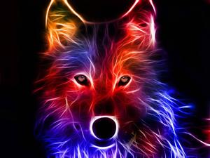 Get lost in the night and explore the beauty of the neon wolf animated wallpaper