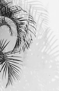 Get lost in the pure white vibe of this dreamy aesthetic. white aesthetic wallpaper