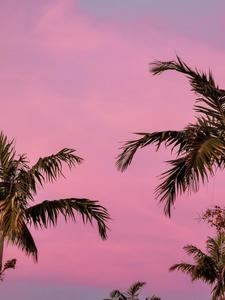 Get ready for the summer with these cool and stylish pink aesthetics pink cool aesthetic wallpaper