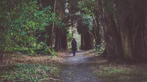 Girl Alone Enchanted Forest alone girl wallpaper