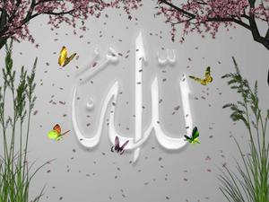 Give Thanks to Lord Allah  Wallpaper