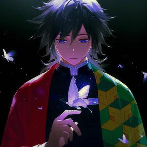 Giyu Tomioka Demon Slayer PFP demon slayer pfp wallpaper