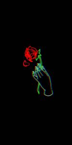 Glowing Rose Flower Mobile flower mobile wallpaper
