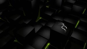 Glowing White Dragon Kali Linux linux wallpaper