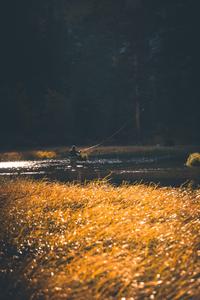 Going solo for a fishing excursion in a clear mountain stream. fishing wallpaper