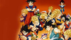 Goku battles Beerus, The God of Destruction in Dragon Ball Super dragon ball super wallpaper