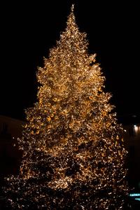 Gold Tree Christmas IPhone christmas iphone wallpaper