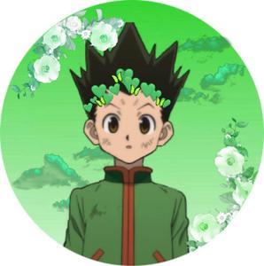 Gon Freecss Anime PFP anime pfp wallpaper