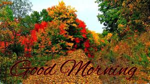 Good Morning Autumn Forest good morning wallpaper