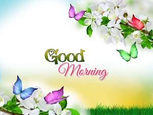 Good Morning Butterflies Picture good morning wallpaper