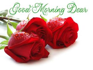 Good Morning Dear Picture good morning wallpaper