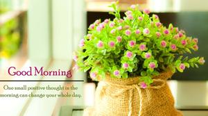 Good Morning Flower Decoration Picture good morning wallpaper