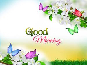 Good Morning Flowers Butterfly good morning wallpaper