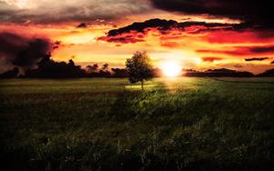 Good Morning Mood Dawn Field good morning wallpaper