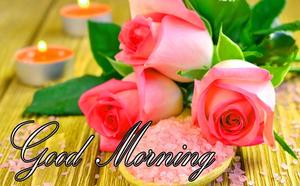 Good Morning Pink Flowers Picture good morning wallpaper